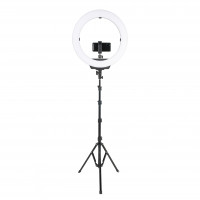 Осветитель кольцевой Falcon Eyes BeautyLight 480LS LED со стойкой